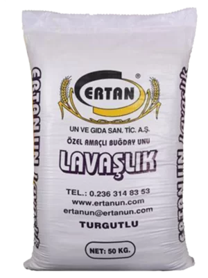 egecan-ertan-lavaşlık