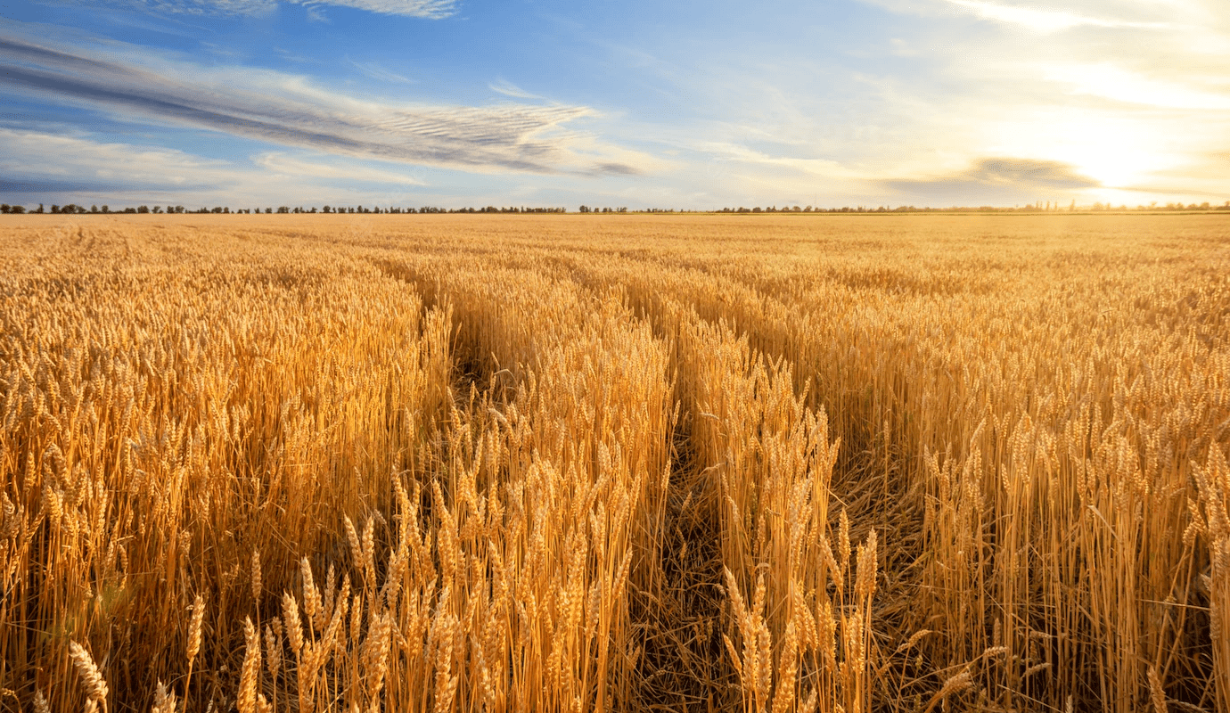 egecan-hakkımızda-basak-resim-bg