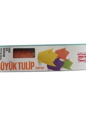 egecan-büyük-tulip